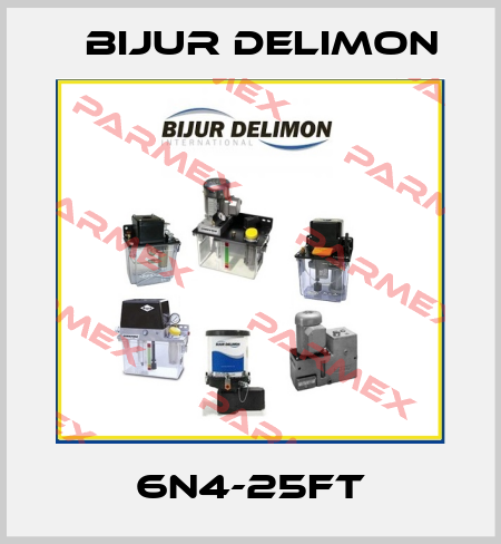 6N4-25FT Bijur Delimon