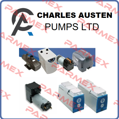 X87-302 Charles Austen Pumps