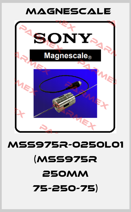 MSS975R-0250L01 (MSS975R 250mm 75-250-75) Magnescale