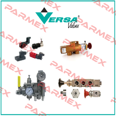 BSI-3309-P-316-25B Versa Valves