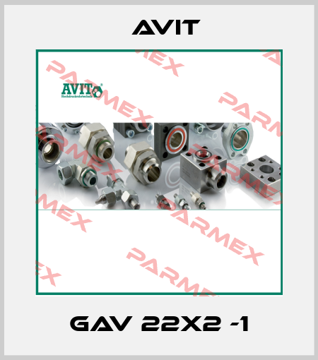 GAV 22x2 -1 Avit