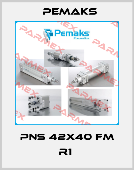 PNS 42X40 FM R1  Pemaks