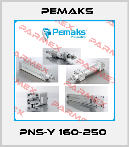PNS-Y 160-250  Pemaks