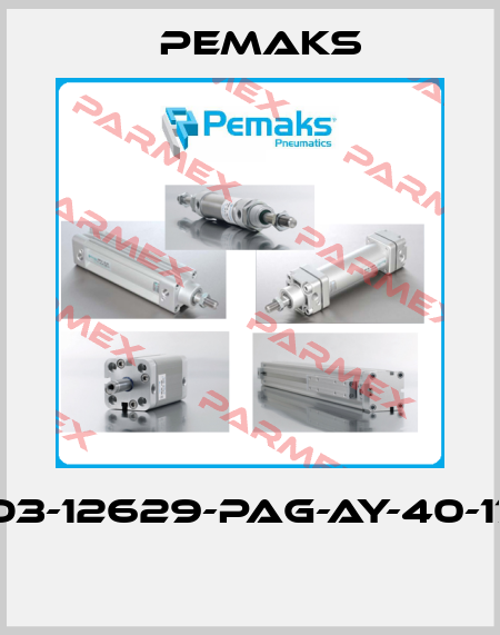 PO3-12629-PAG-AY-40-175  Pemaks