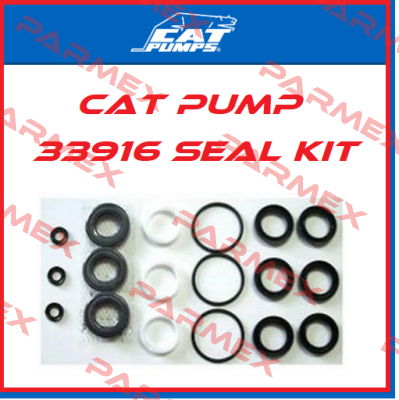 33916 Cat Pumps