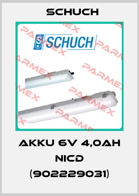 AKKU 6V 4,0Ah NiCd (902229031) Schuch