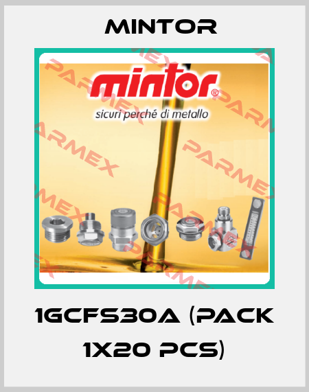 1GCFS30A (pack 1x20 pcs) Mintor