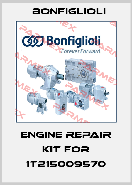 Engine repair kit for 1T215009570 Bonfiglioli