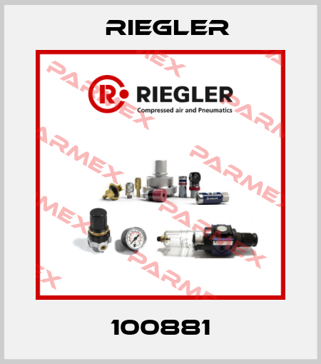 100881 Riegler
