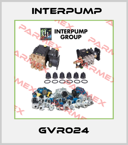 GVR024 Interpump