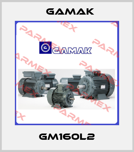GM160L2 Gamak