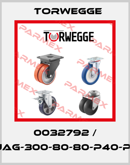 0032792 / VUAG-300-80-80-P40-PFN Torwegge