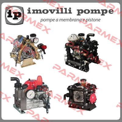 Valve & seals ref 46032 Imovilli pompe