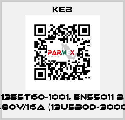 13E5T60-1001, EN55011 B 480V/16A (13U5B0D-3000) KEB