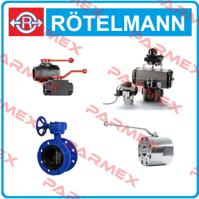 Seal kit for 419372 Rotelmann