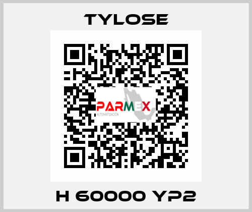 H 60000 YP2 Tylose
