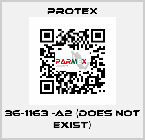 36-1163 -A2 (DOES NOT EXIST) Protex