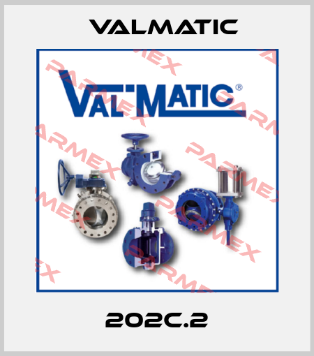 202C.2 Valmatic