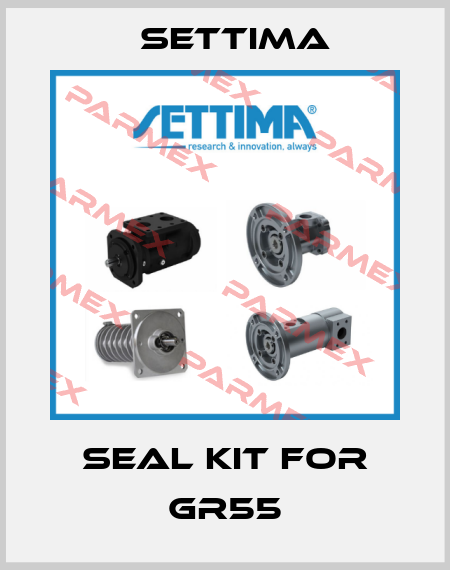 Seal kit for GR55 Settima
