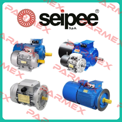 JM80B2 1.1kw B14 SEIPEE