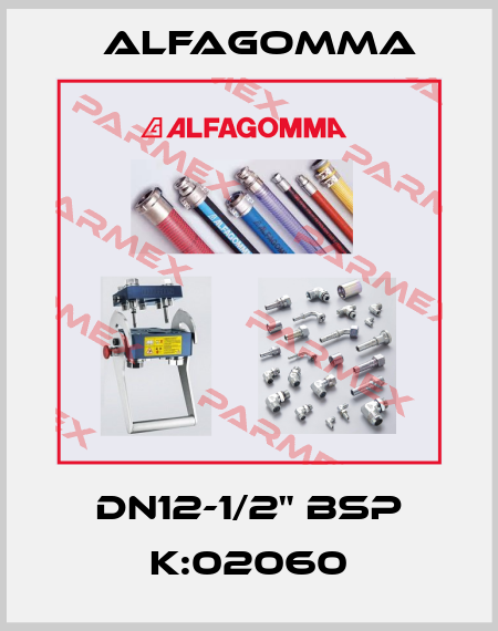 DN12-1/2" BSP K:02060 Alfagomma