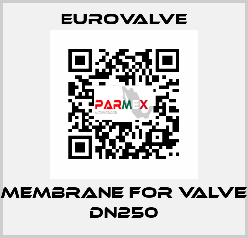 membrane for valve DN250 Eurovalve