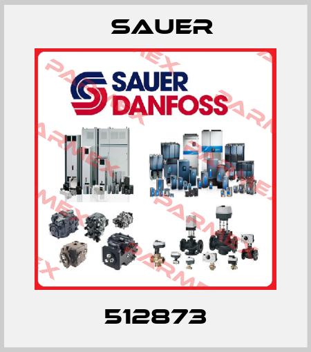 512873 Sauer