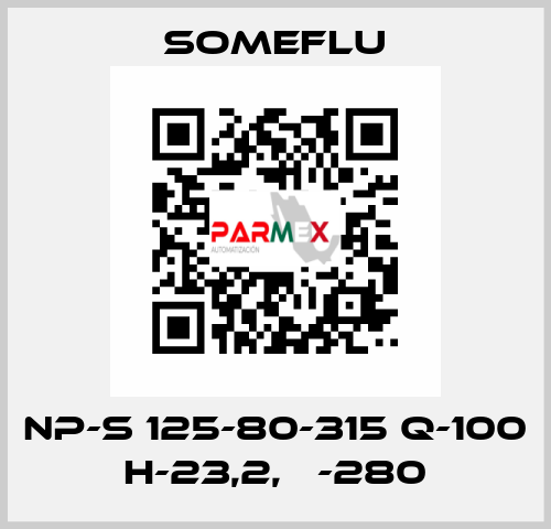 NP-S 125-80-315 Q-100 H-23,2, Ф-280 SOMEFLU