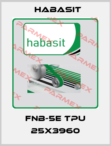 FNB-5E TPU 25X3960 Habasit