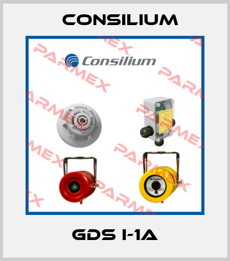 GDS I-1A Consilium