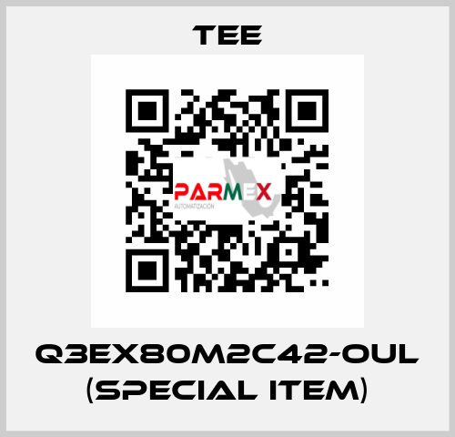 Q3EX80M2C42-OUL (special item) TEE