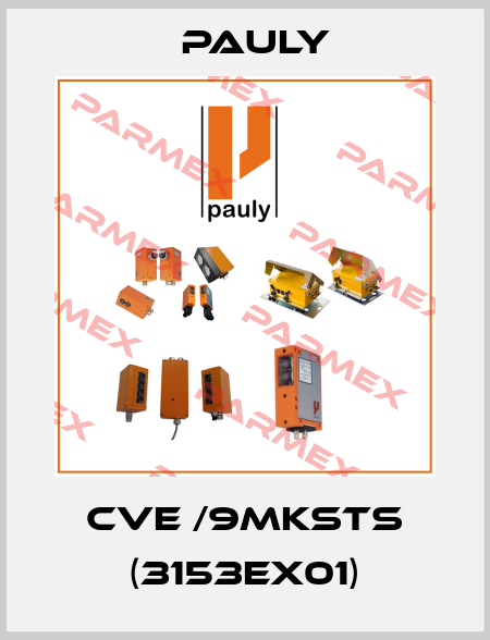 CvE /9mKSTS (3153Ex01) Pauly