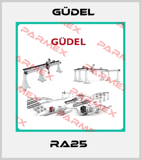RA25  Güdel