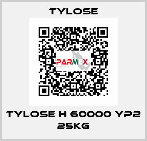 TYLOSE H 60000 YP2 25KG Tylose