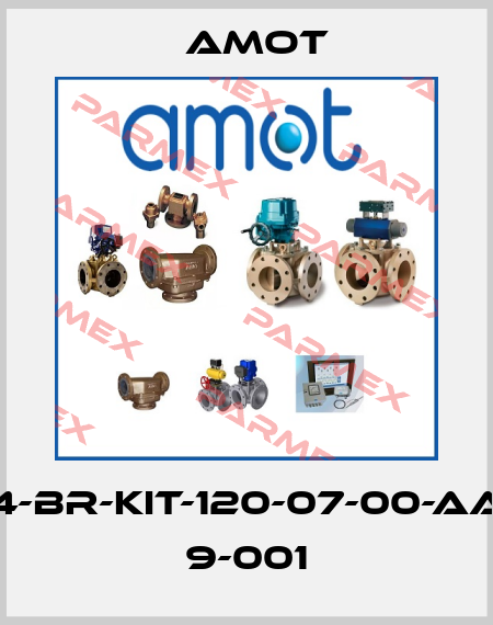 4-BR-KIT-120-07-00-AA 9-001 Amot