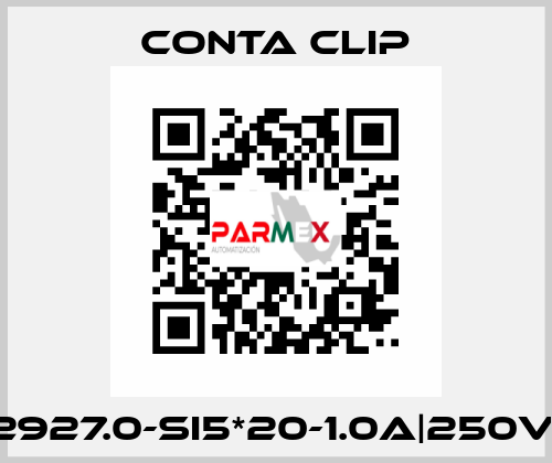 2927.0-SI5*20-1.0A|250V| Conta Clip