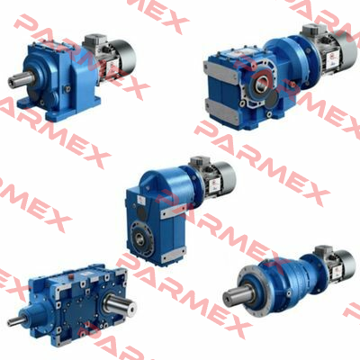 WORM GEAR for NMRV 40 Motovario