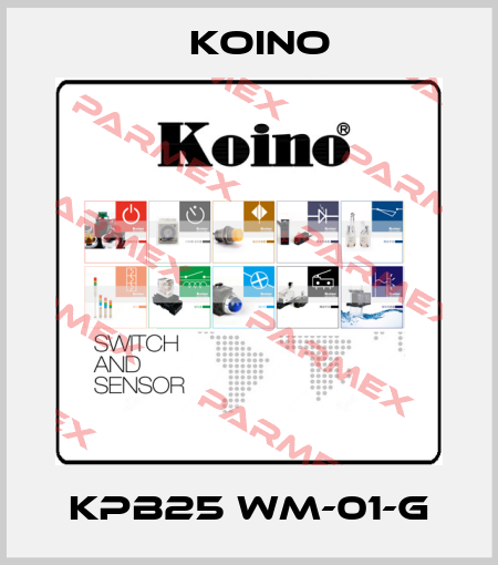 KPB25 WM-01-G Koino