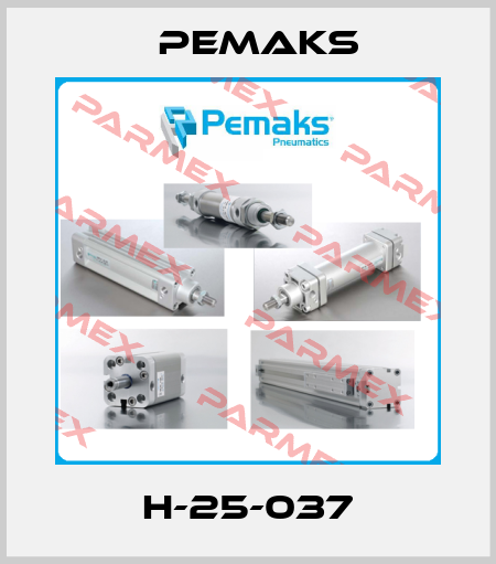 H-25-037 Pemaks
