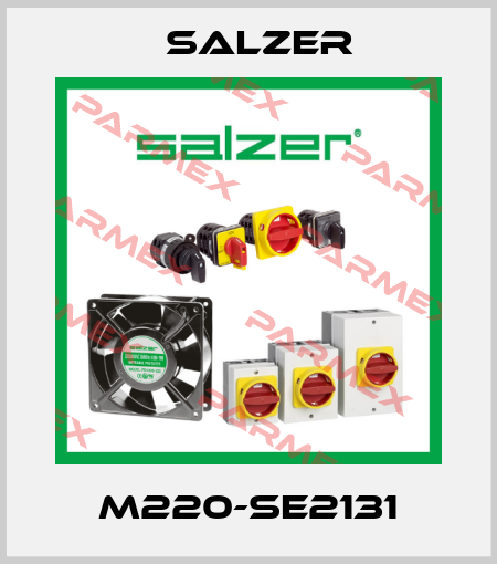 M220-SE2131 Salzer