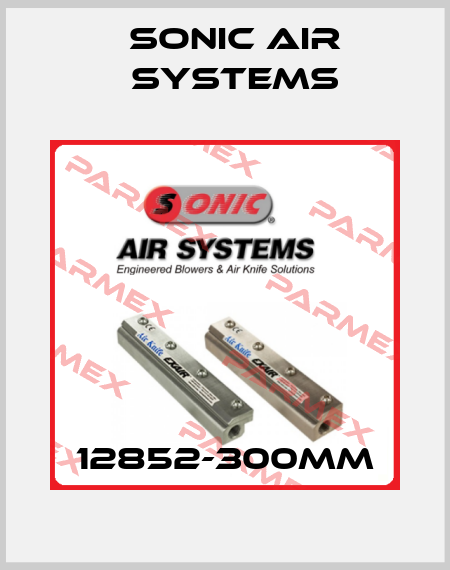 12852-300MM SONIC AIR SYSTEMS