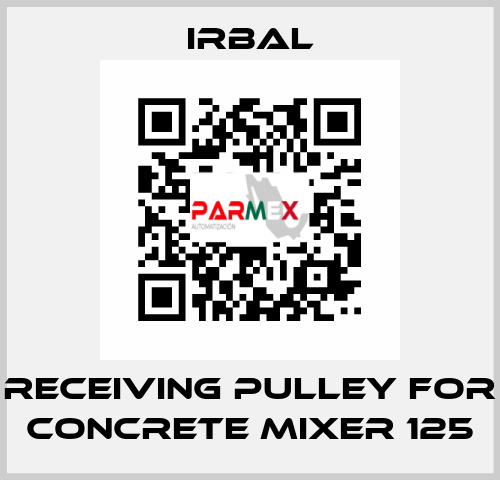 receiving pulley for Concrete mixer 125 irbal