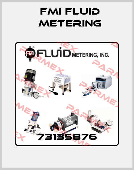 73135876 FMI Fluid Metering