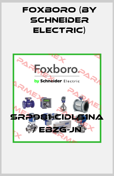 SRP981-CIDLS1NA / EBZG-JN Foxboro (by Schneider Electric)