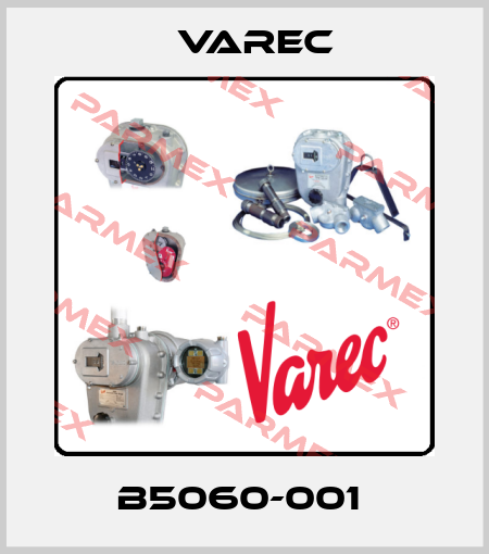  B5060-001  Varec
