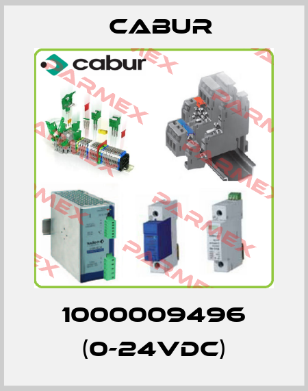 1000009496 (0-24VDC) Cabur