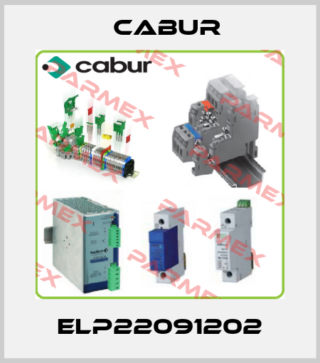 ELP22091202 Cabur