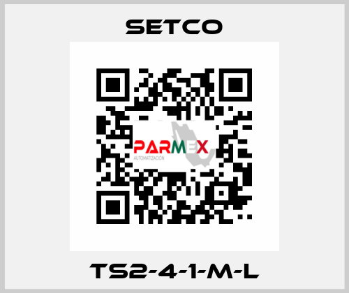 TS2-4-1-M-L SETCO