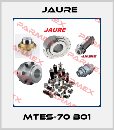 MTES-70 B01 Jaure