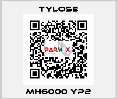 MH6000 YP2 Tylose